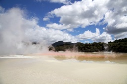 Auckland Rotorua
